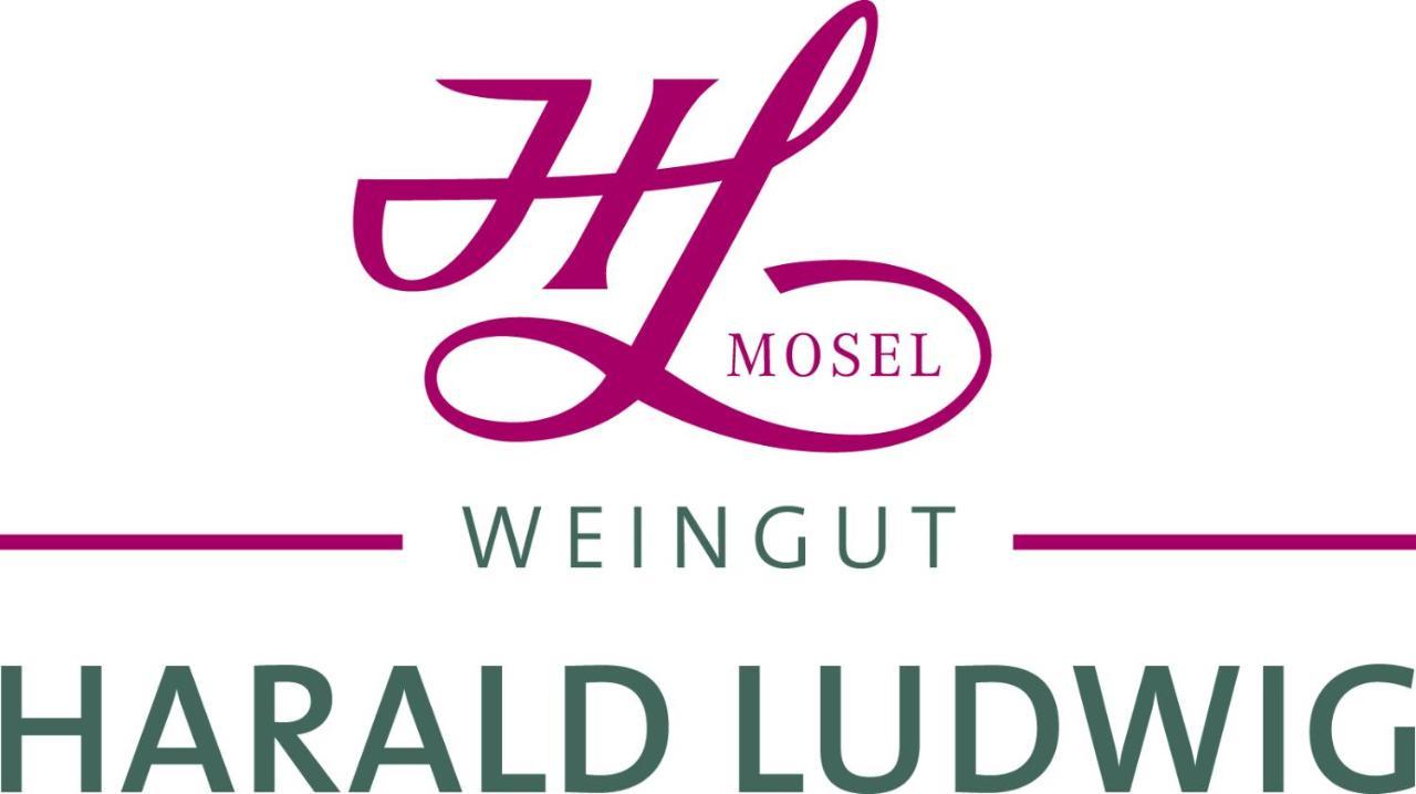 דירות Osann-Monzel Weingut Harald Ludwig מראה חיצוני תמונה